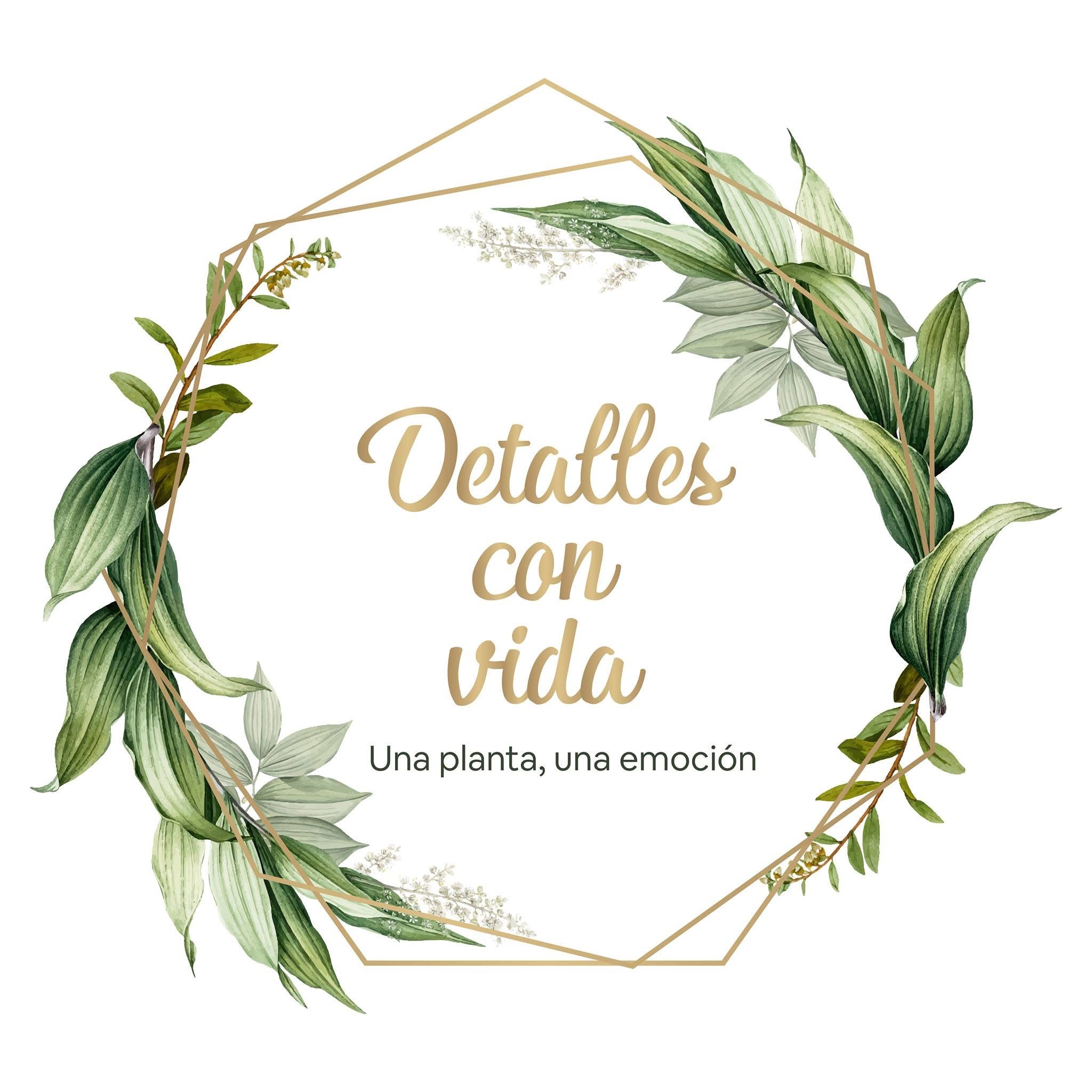 DETALLES CON VIDA