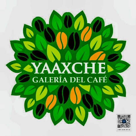 Yaaxche Galería del Café